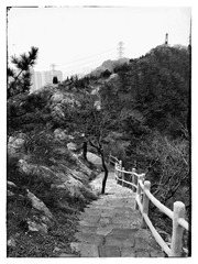 初春登山