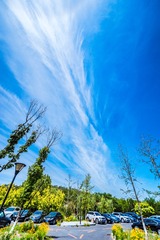 亢龙有悔