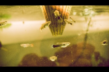 _DSC1204-编辑