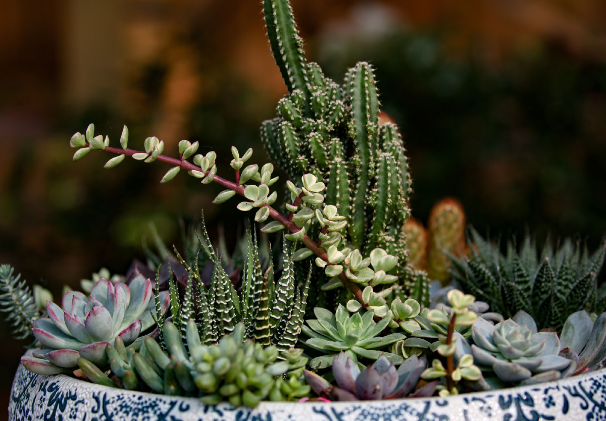 点赞是美德,打赏是鼓励打赏还没有人打赏,快来当第一个打赏的人吧