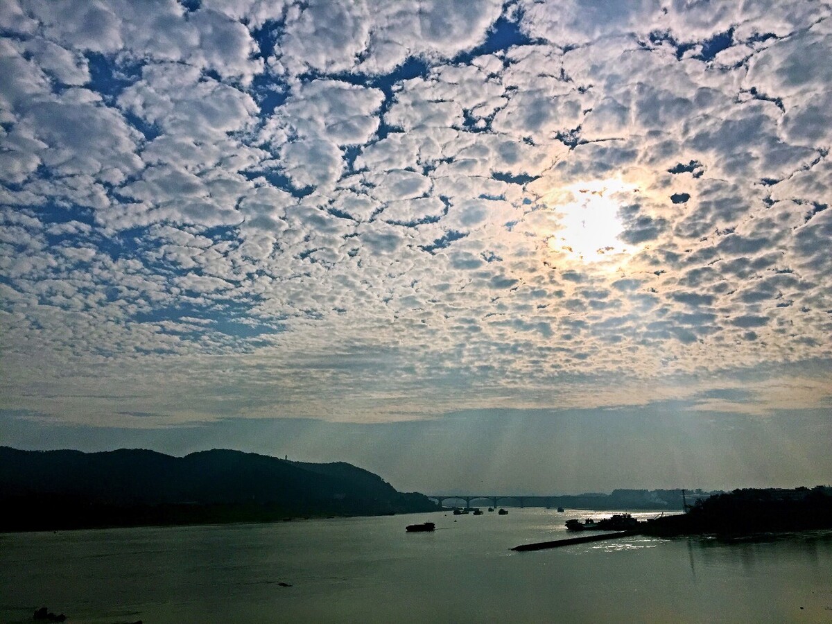 梧州市长洲区。