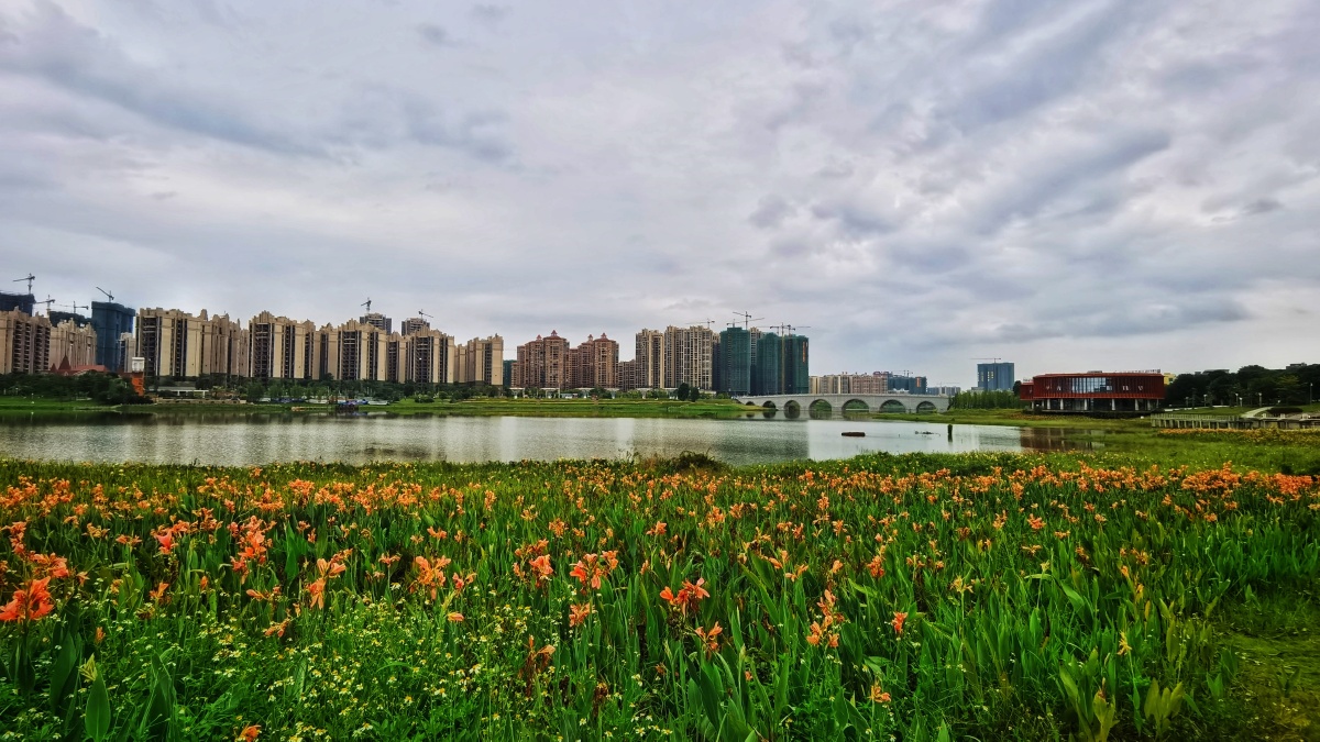 梧州市苍海湖2020103