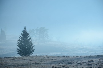 DSC_9136-1