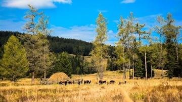 KANAS_20140917_44-2