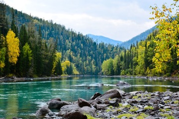 KANAS_20140917_51-3