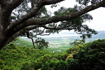 DSC02836-1.jpg