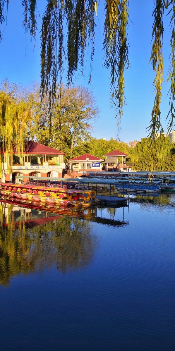 北京红领巾公园