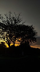 088CCD46-9D9D-4B41-B5EA-54AB09DE4D4F/L0/001