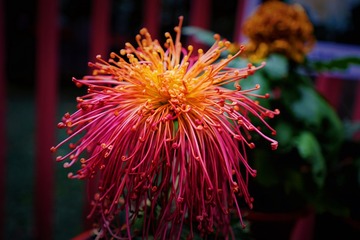 186676C4-8B8C-48F9-B642-34895FFF3BC0/L0/001