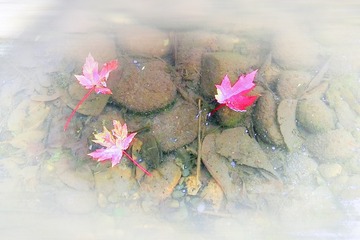 023ABD1A-7517-488B-8C8D-CCC2432EE91D/L0/001