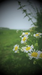 9AE496F1-0B3D-4B2E-8FB7-582263731BD0/L0/001