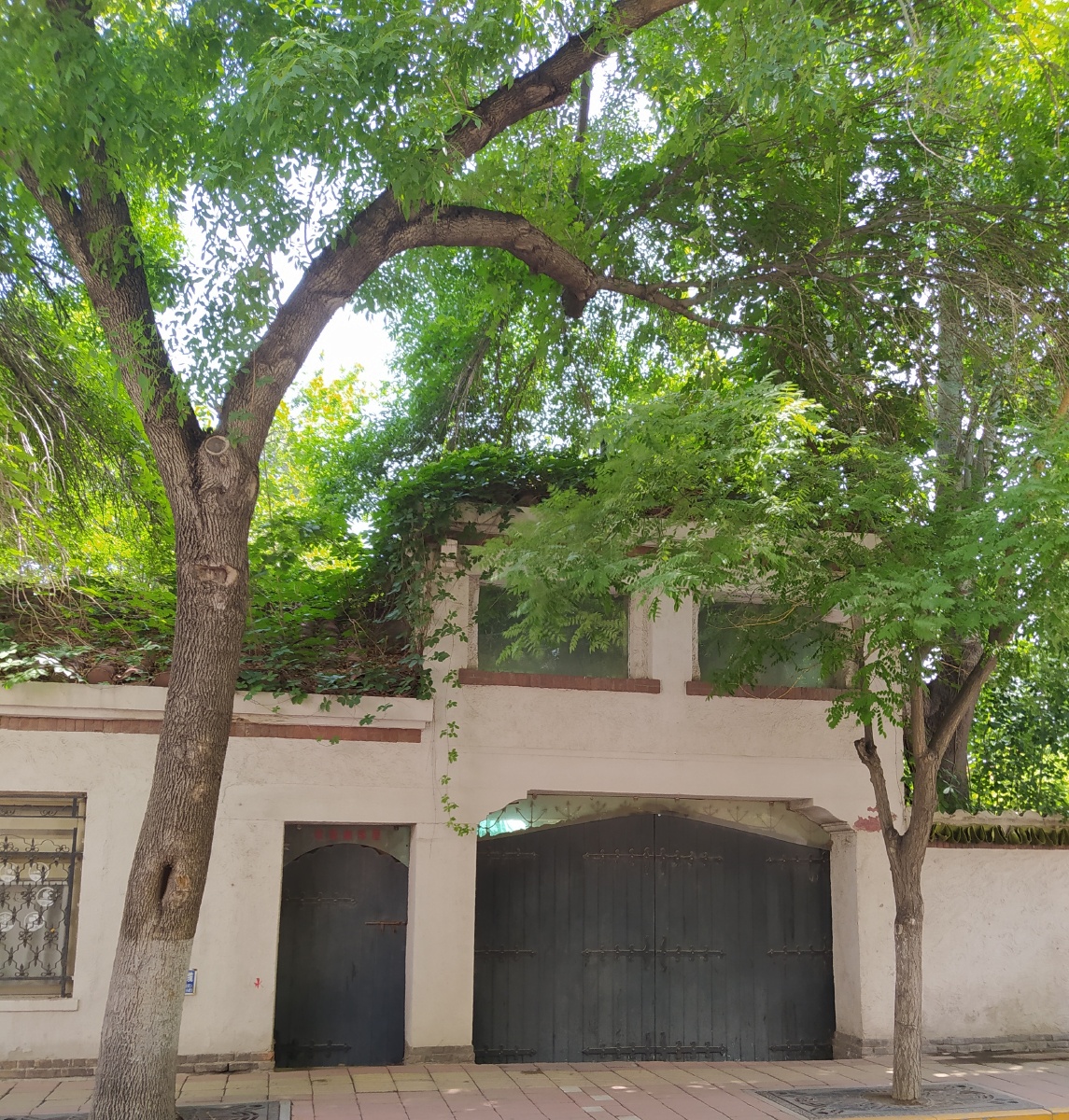 雨后的五大道清透清新润园是这里唯一带游泳池的庭院