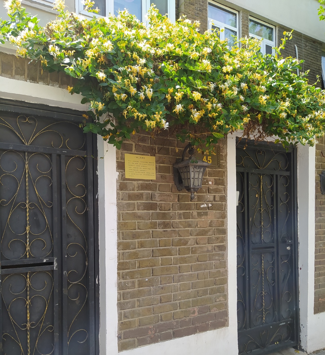 雨后的五大道清透清新润园是这里唯一带游泳池的庭院