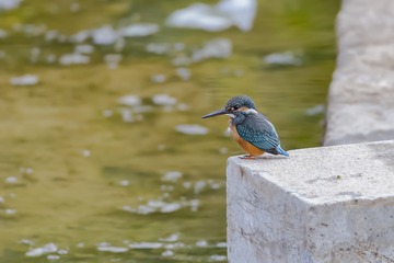 7201