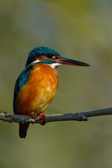 7461