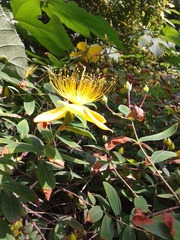 20130517_085117.jpg
