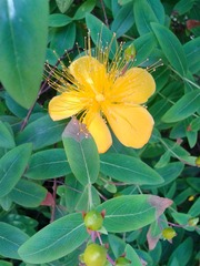 20130517_083945.jpg