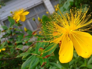 20130517_101309.jpg