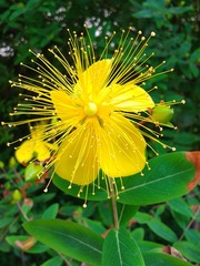 20130517_084601.jpg