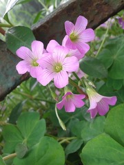 20130521_125136.jpg