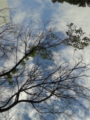 20130527_083502.jpg