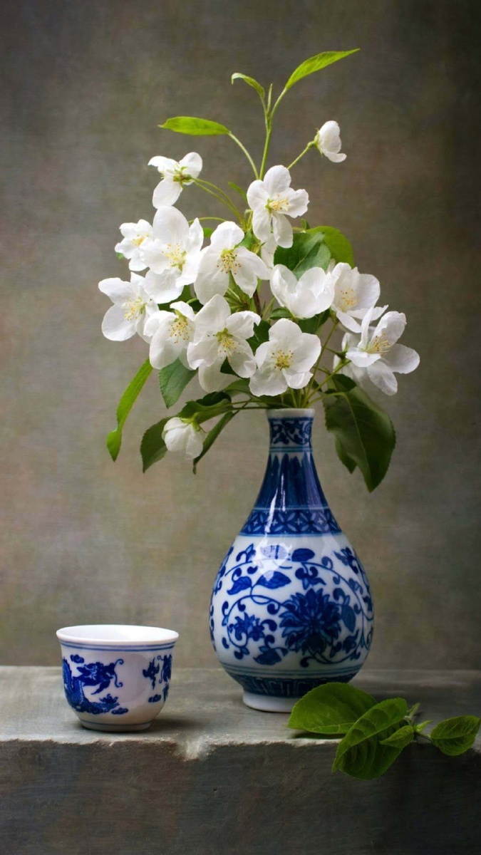 花瓶- a约拍 - 图虫网 - 优质摄影师交流社区