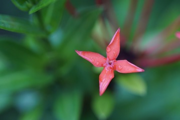 DSC02556_1