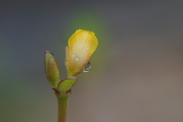 DSC02546_1