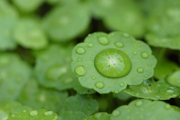 DSC02544_1