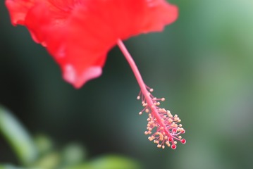 DSC02453_1