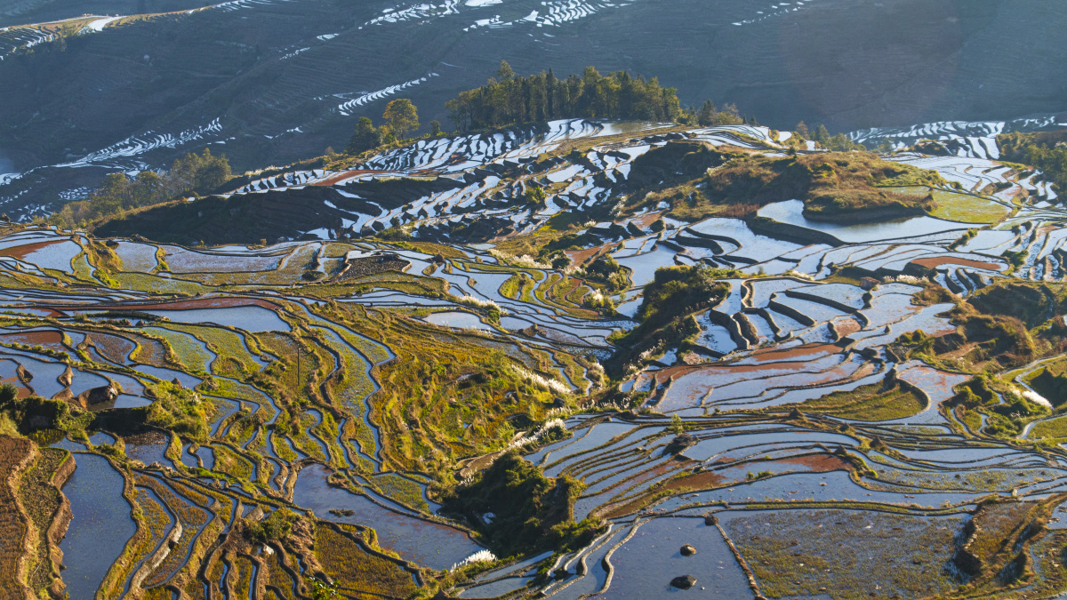 哈尼族元阳梯田