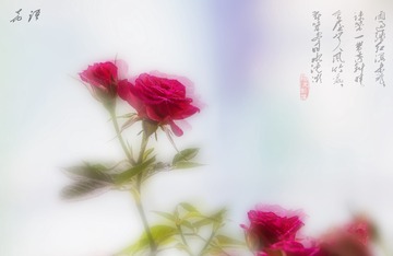 1206544
