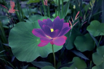 001