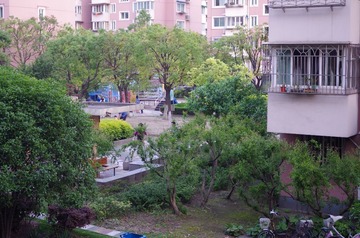 IMGP2634.JPG