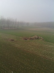IMG_20130213_095520.jpg