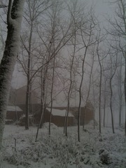 IMG_20130219_075835.jpg