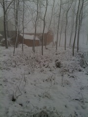 IMG_20130219_075839.jpg