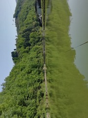 387941