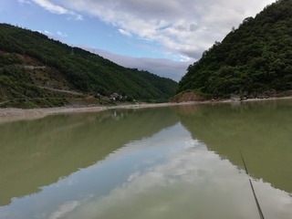 1006546