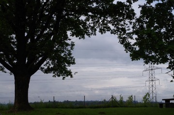 IMGP1197.JPG