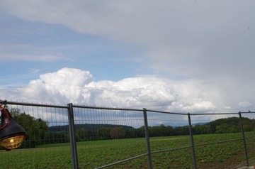 IMGP1398.JPG