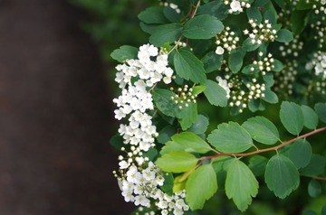 IMGP1497.JPG