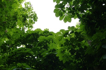 IMGP1578.JPG