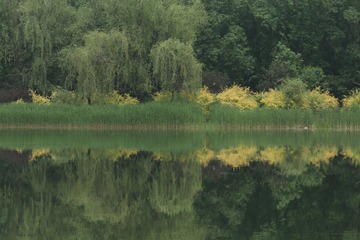 235583