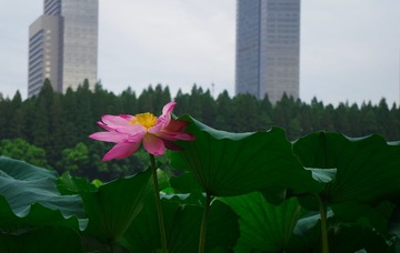IMGP0540.jpg