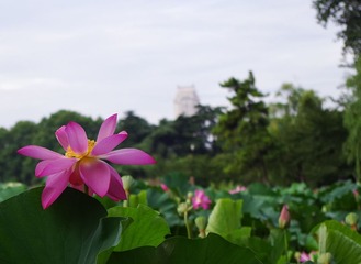 IMGP0614.jpg