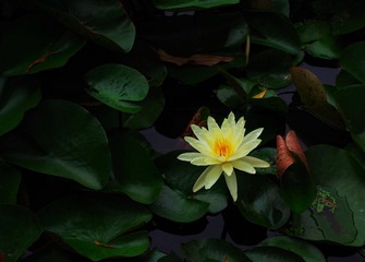 IMGP0647.jpg