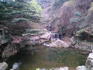 WP_000013.jpg