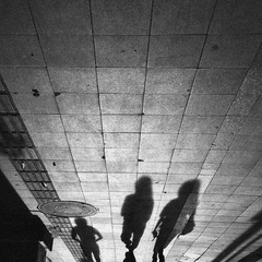 IMG_7507..