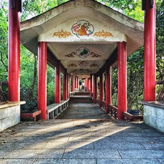 IMG_7798.